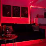 Luxury Apartments In The City Center